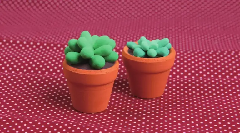 DIY Clay Succulents