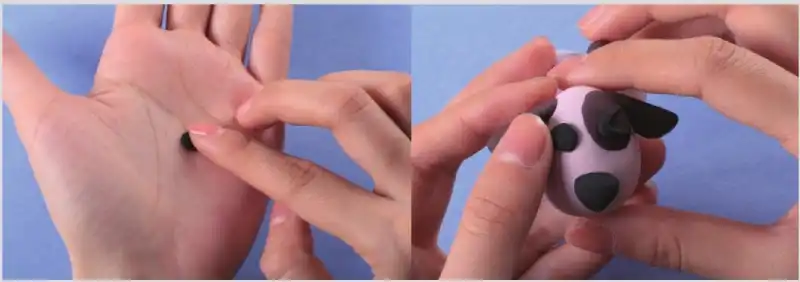 stick the eyes on dog face