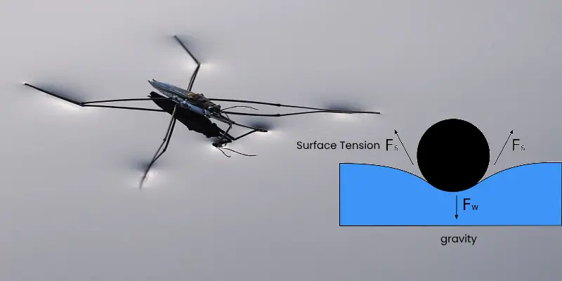 water surface tension