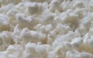 wood pulp cellulose